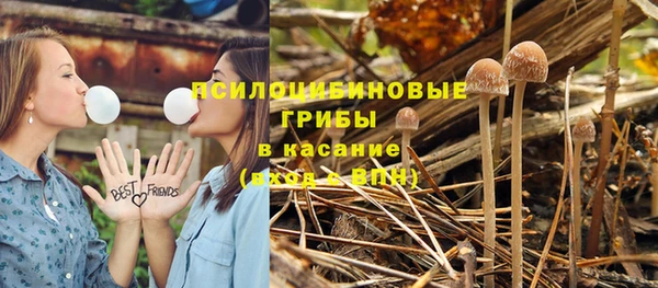 spice Алексин
