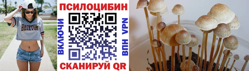 Галлюциногенные грибы мицелий  Красноярск 
