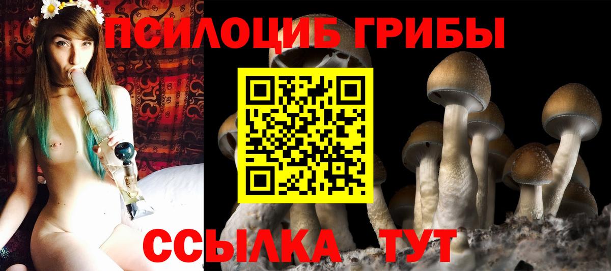 Красноярск  Псилоцибиновые грибы MAGIC MUSHROOMS  Псилоцибиновые грибы мухоморы  что такое наркотик  Вход с VPN 