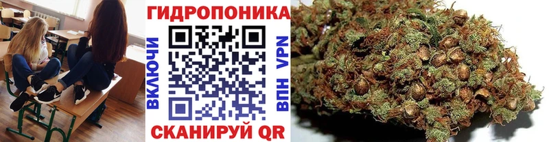 Шишки марихуана сатива  Красноярск 
